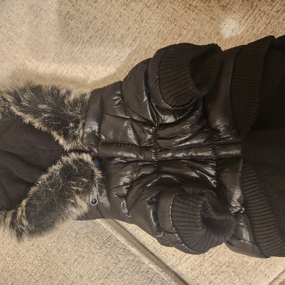 Black Small Dog Winter Jacket